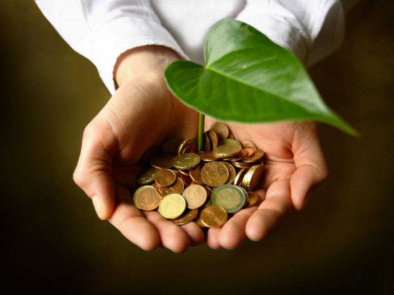 green economy 800x600 1 Leis da riqueza — Economizar (Parte II)